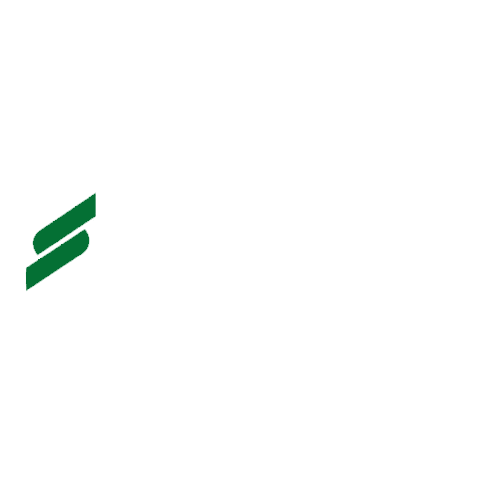 straumann 1