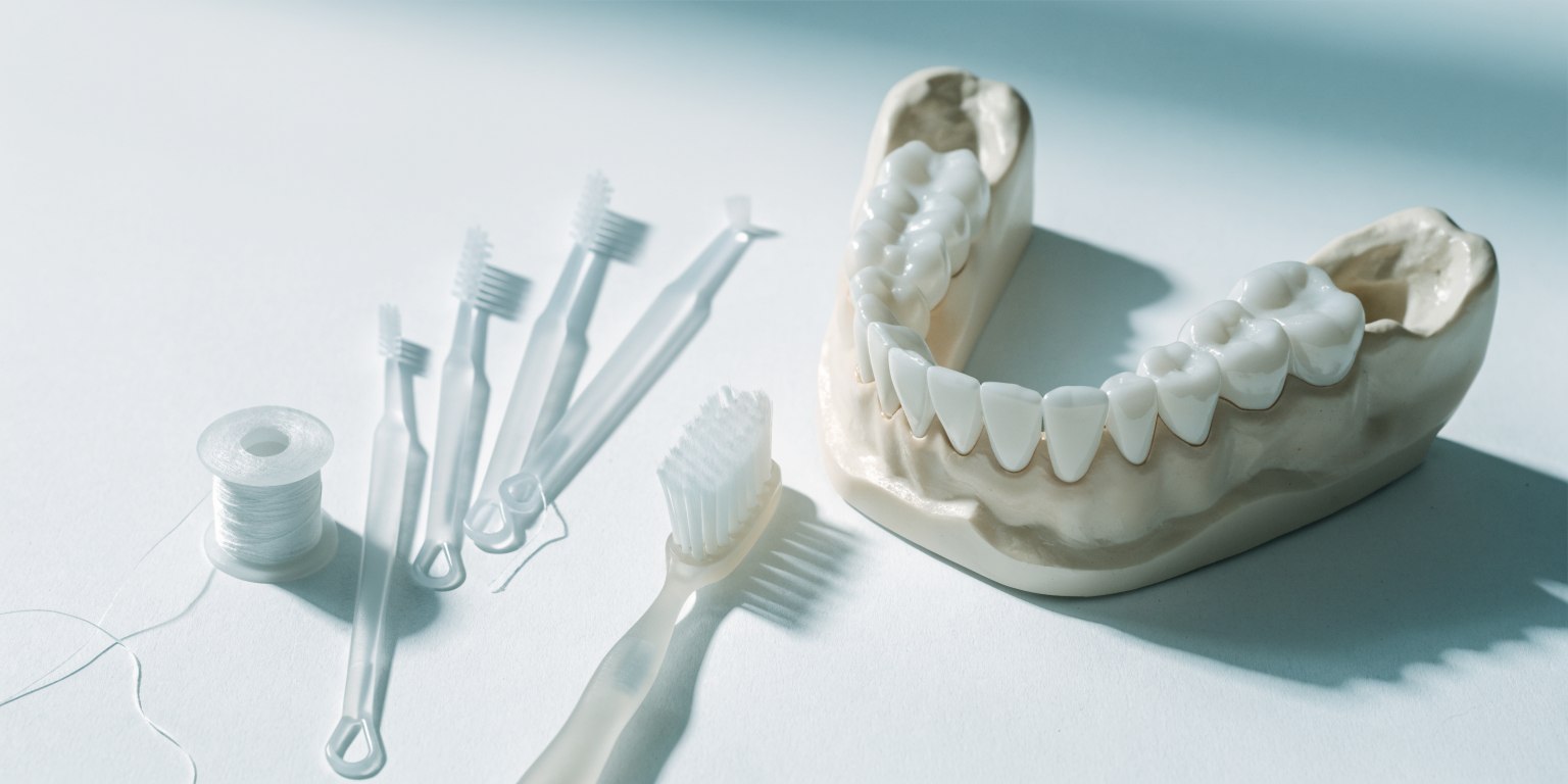 Toothbrush, interdental brushes and floss beside a dental bridge teaching model