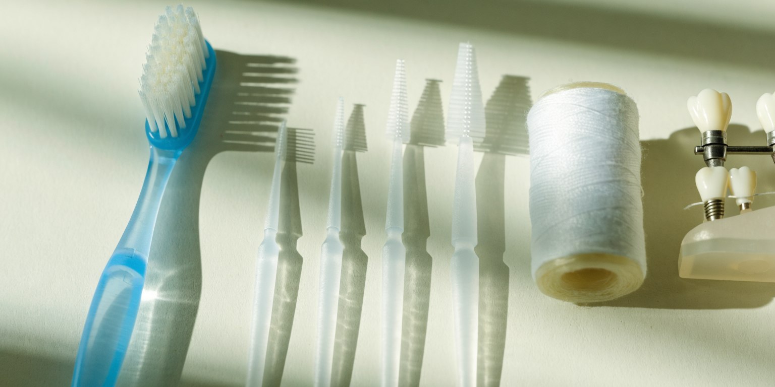 Toothbrush, interdental brushes and floss beside a dental teaching model